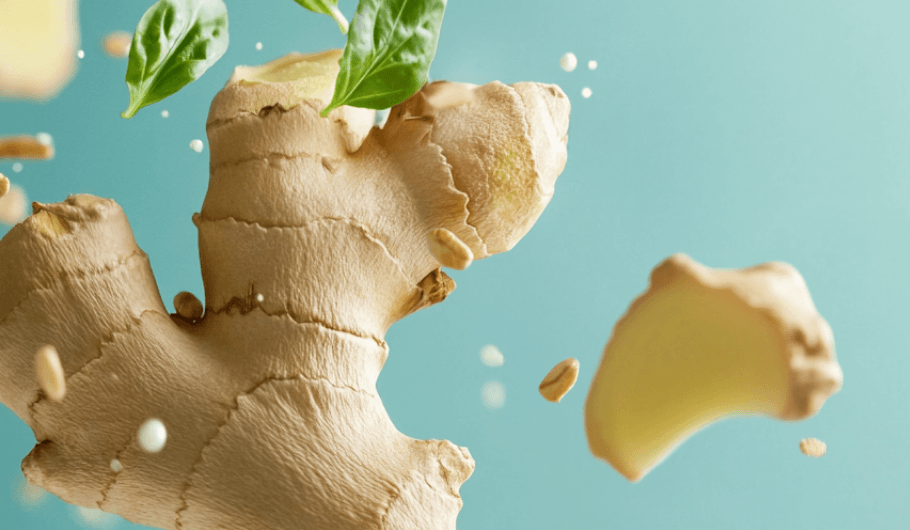 Vantage Nutrition